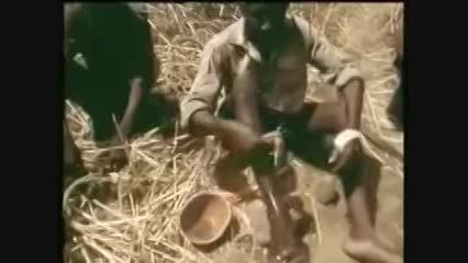 قربانی شکار مار آناکوندا-مستندحیات وحش آفریقا+کلیپ فیلم