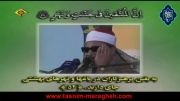 تلاوت - استاد علی حسن السویسی - سوره الرحمن - مقطع