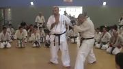 اموزش تکنیک مبارزه توسط ارتور هوانسیان  کیوکوشین کاراته