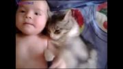ابراز علاقه گربه به نوزاد