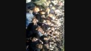 صحنه های سانسور شده مراسم دفن مرتضی پاشایی