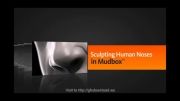 آموزش مدلسازی بینی انسان در محیط mudbox مود باکس