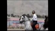 اسبان اصیل کرد در جشنواره کرمانشاه