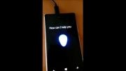 Another Cortana video