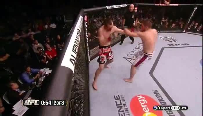 UFC 165 Nurmagomedov vs Healy -  Part 2