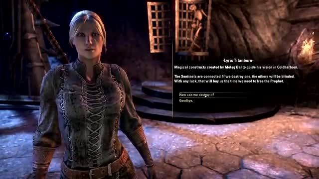 The Elder Scrolls Online Tamriel Unlimited - Gameplay