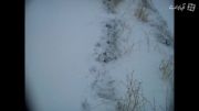 برف و بوران روستای اردلان. سراب