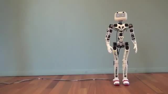 ربات انسان نمای Poppy ساخته شده با پرینتر 3بعدی