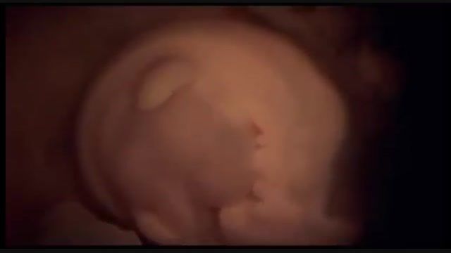 فیلم جنین در دوران بارداری