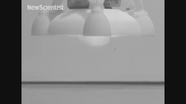 ربات چاپ شده با پرینتر ۳ بعدی که ۶ برابر ارتفاع خود می
