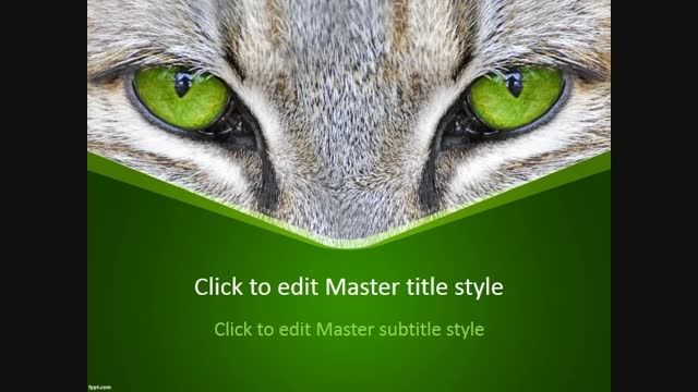 Cat Eyes PowerPoint Template