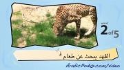 آموزش عربی با تصویر-43