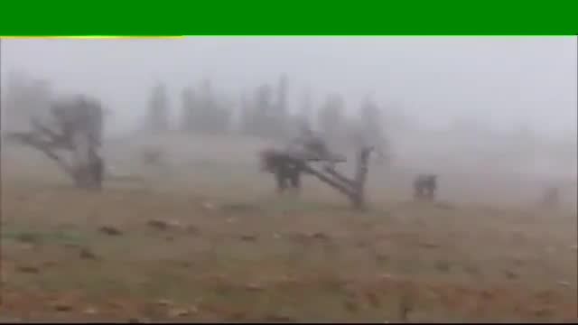 عملیات ارتش سوریه(155)