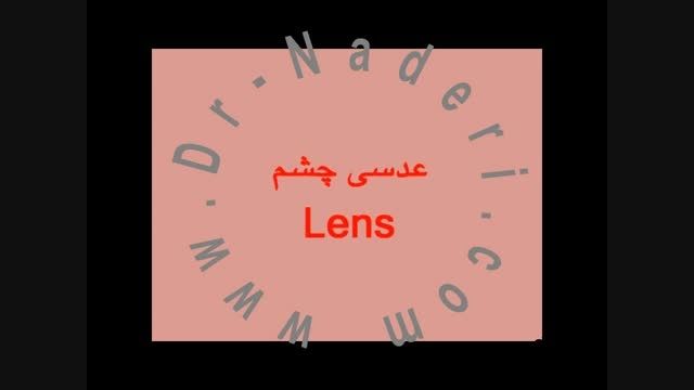 عدسی-ساختمان چشم-مرکز چشم پزشکی دکتر علیرضا نادری