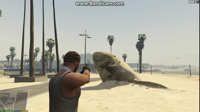 یک کوسه شنی در ساحل در GTA V