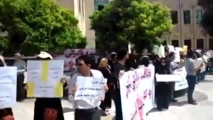 تجمع اعتراض به سگ کشی در مقابل شهرداری شیراز