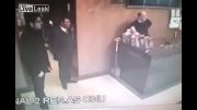 حمله ی وحشیانه ی گربه به کارکنان هتل