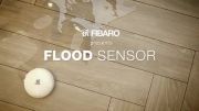 Fibaro Flood Sensor - فیبارو سنسور نشت یاب