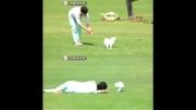 کیم سو هیون و سگش