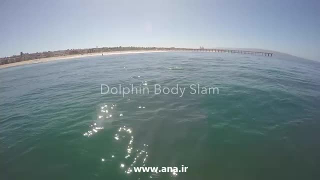 برخورد شدید دلفین با موج سوار