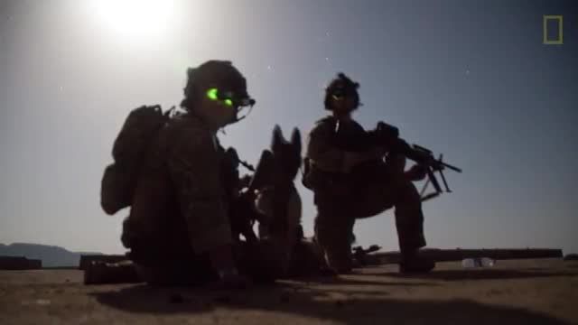سرباز که زندگی سگ را نجات داد