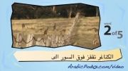 آموزش عربی با تصویر-45