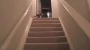 ویدیو باحال از پایین آمد بچه از پله ها...