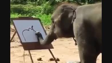 نقاشی کشیدن فیل ها..