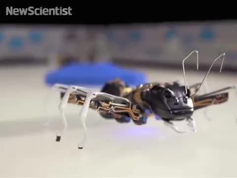 ساخت ربات مورچه هوشمند با پرینتر سه بعدی