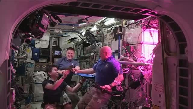فضانوردان کلم فضایی خوردند!