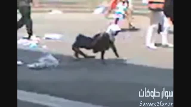 موجودی بسیار عجیب به شکل حیوان در حال حرکت در خیابان!