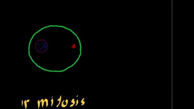 cell_division