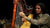Harp  -  Moliendo Cafe - Nicolas Carter