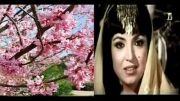 عربی:فیلم آهنگ9