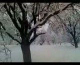 برف زمستونی (شهرستان نیر استان یزد)