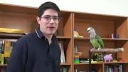 آموزش بال عقاب به طوطی