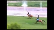 حرکات نمایشی بر روی اسب ترکمن