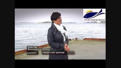 تولید غذای جدید برای ماهیان