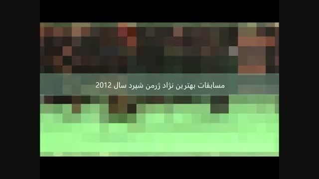 مسابقات بهترین نژاد ژرمن شپرد سال 2012