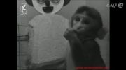 روان شناسی رشد -مطالعه هری هارلو روی دلبستگی میمونها