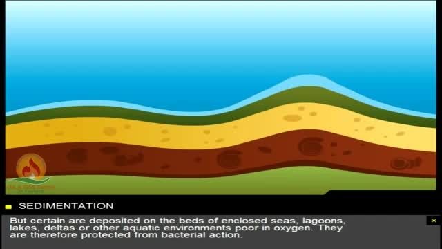 Formation Of Reservoir Rock _ Oil