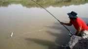 ماهیگیری رو