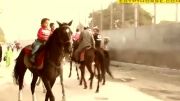 سوارکاری کودکان با اسب عرب