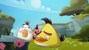 انیمیشن سریالی Angry Birds Toons | قسمت 47 | !Oh Gnome