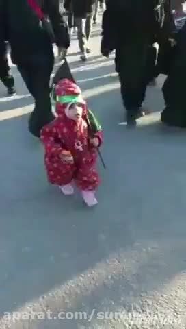 کودکی در پیاده روی اربعین به یاد حضرت رقیه (س)