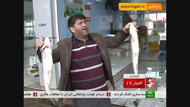گزارش از بازار ماهی فروشان مازندران