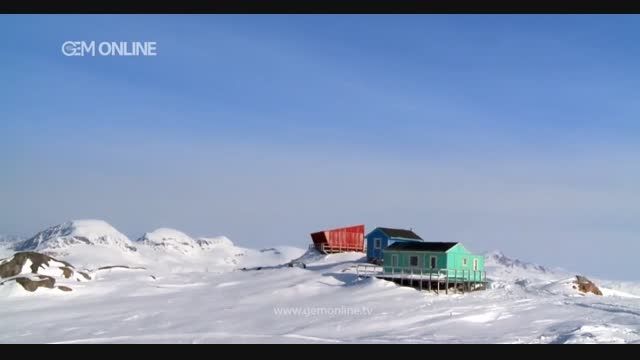 چاشنی های گرینلندی 1