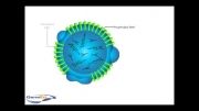 ساختار لیپوپروتئین