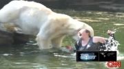 حمله خرس قطبی به یک زن...