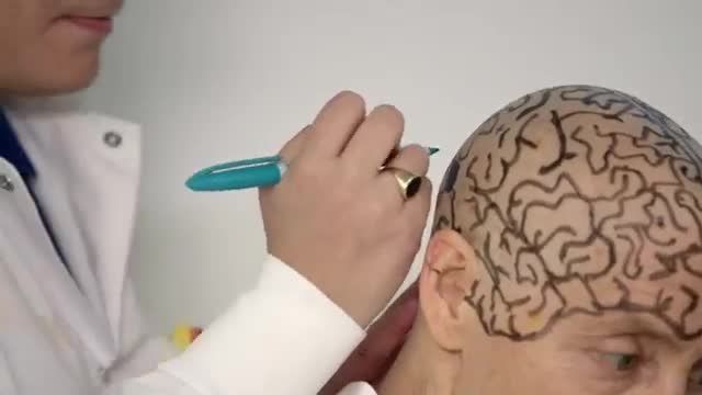 پروفسور دانشگاه MIT موهای خود را برای آموزش می تراشد